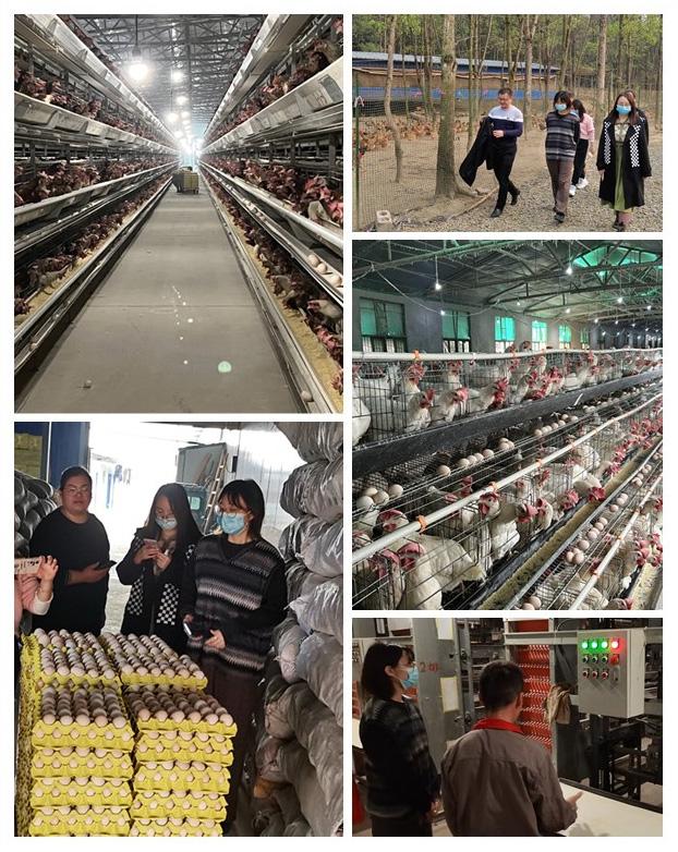 万利官网-相信品牌力量