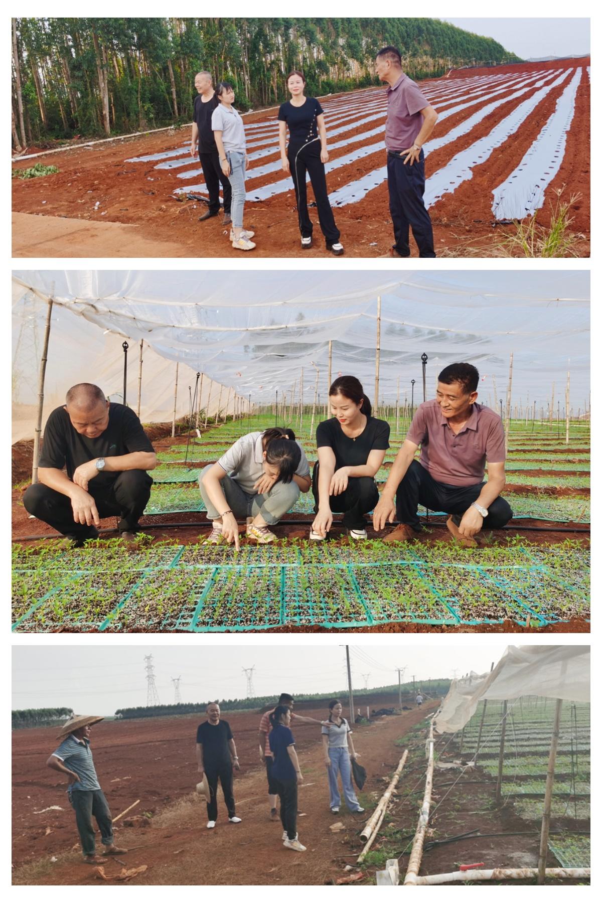 万利官网-相信品牌力量