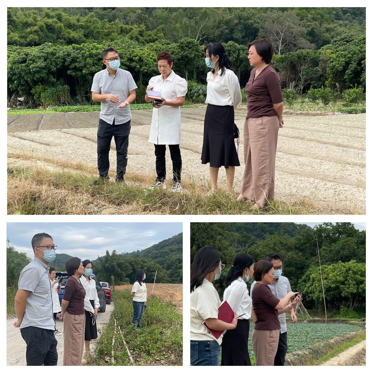 万利官网-相信品牌力量