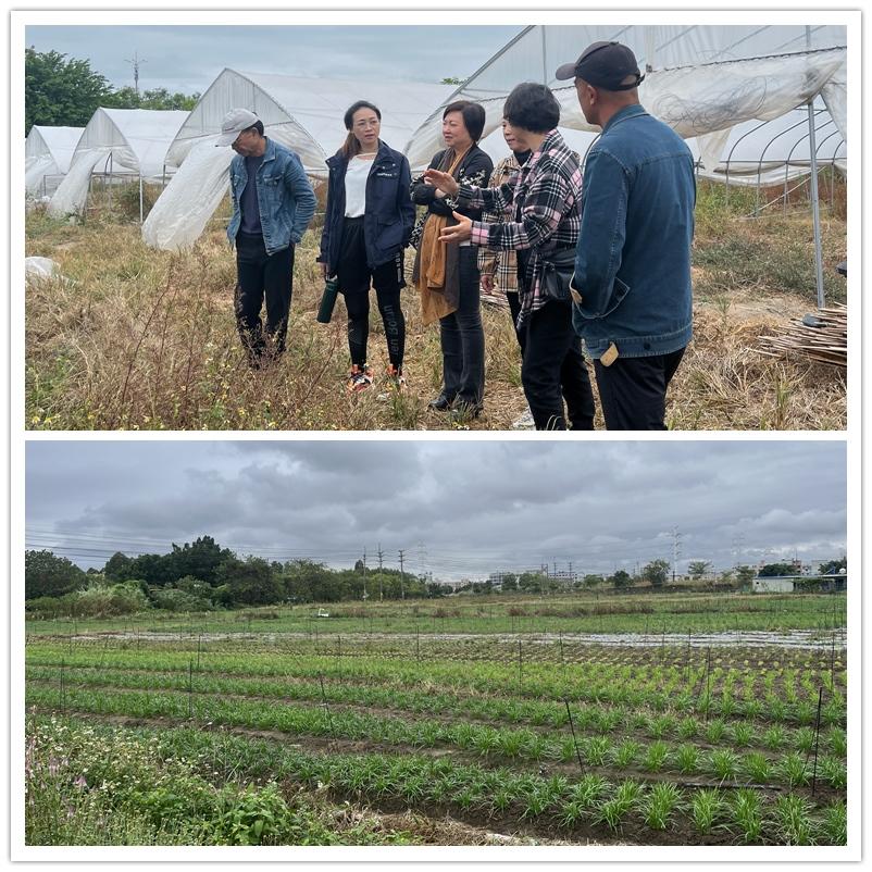 万利官网-相信品牌力量