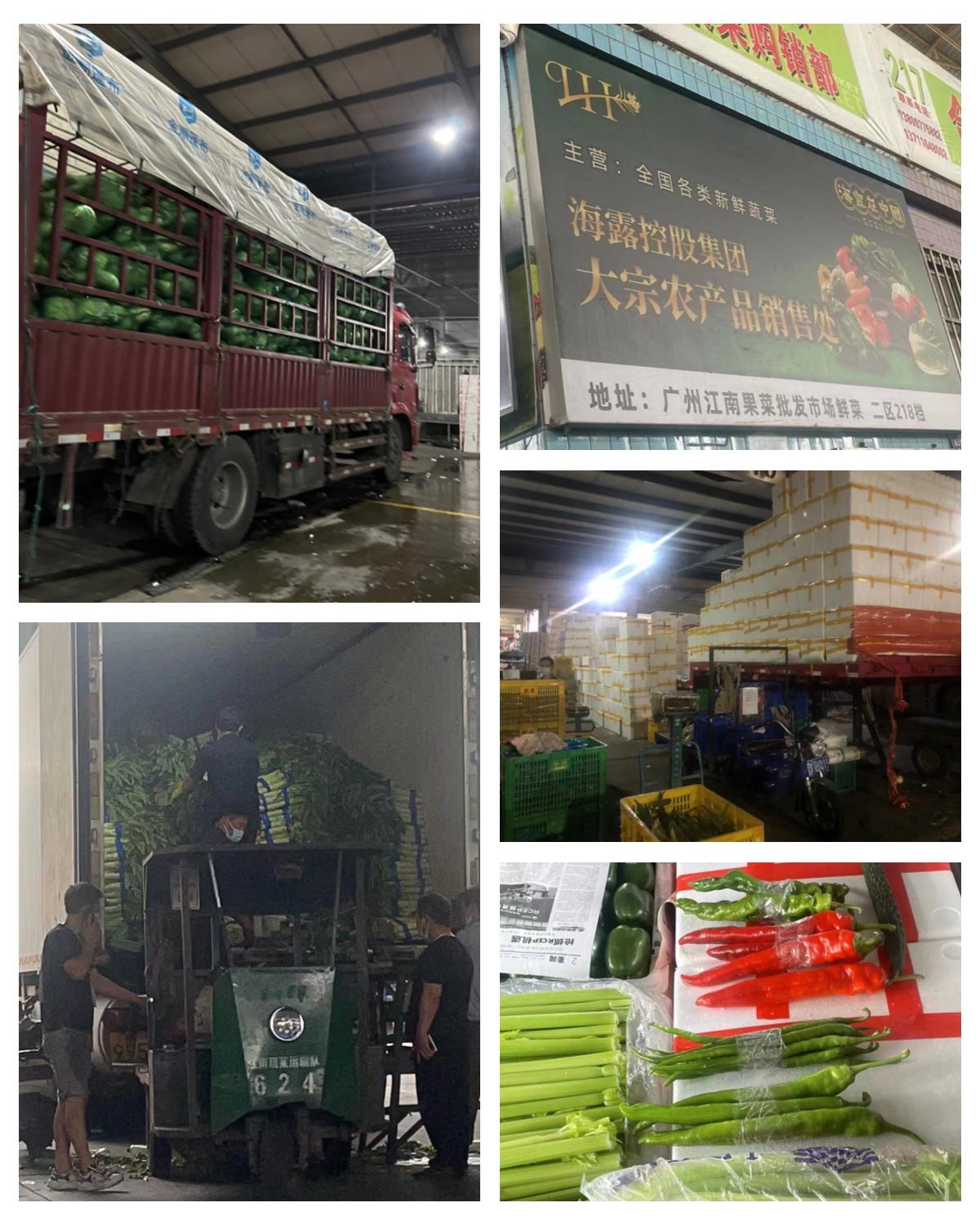 万利官网-相信品牌力量