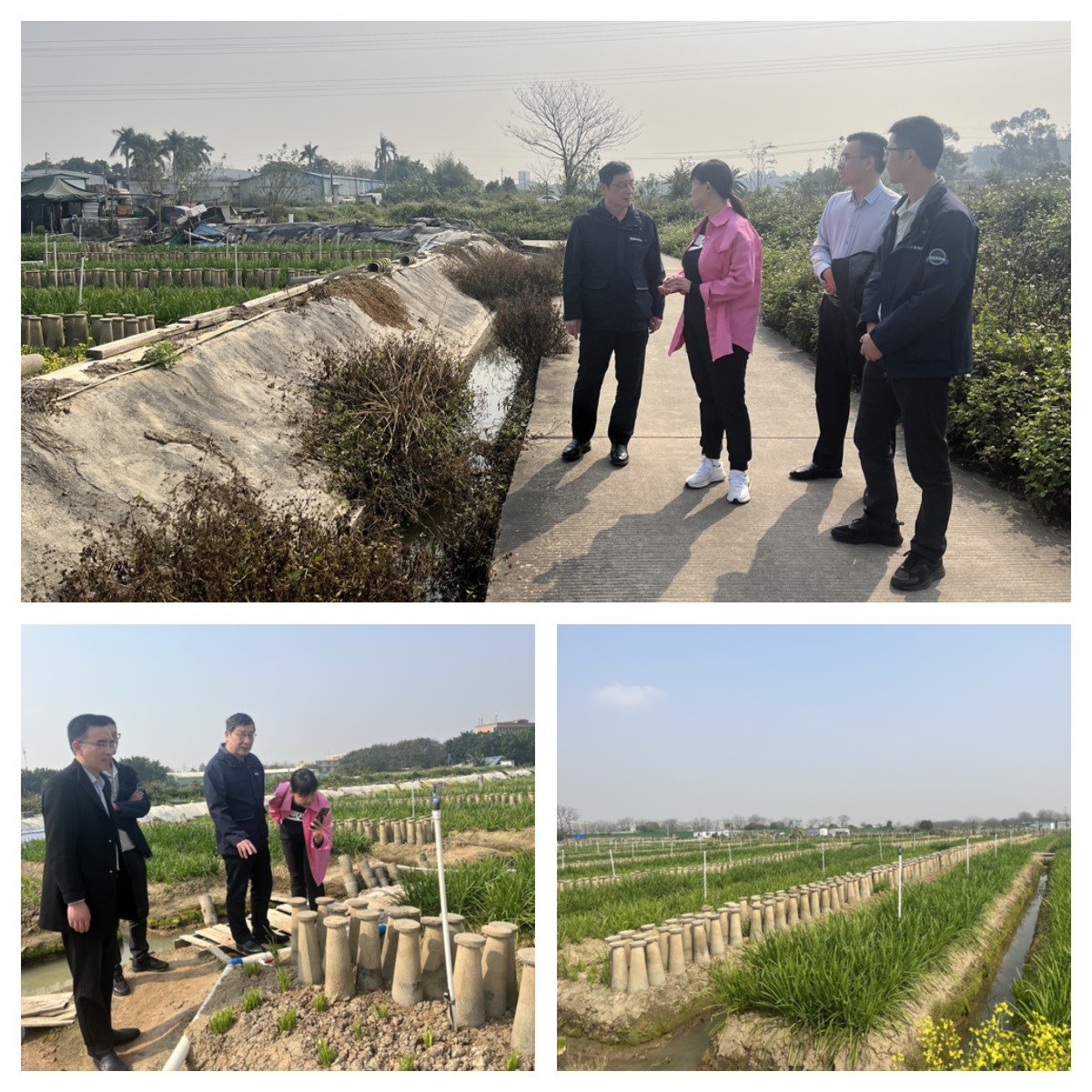 万利官网-相信品牌力量