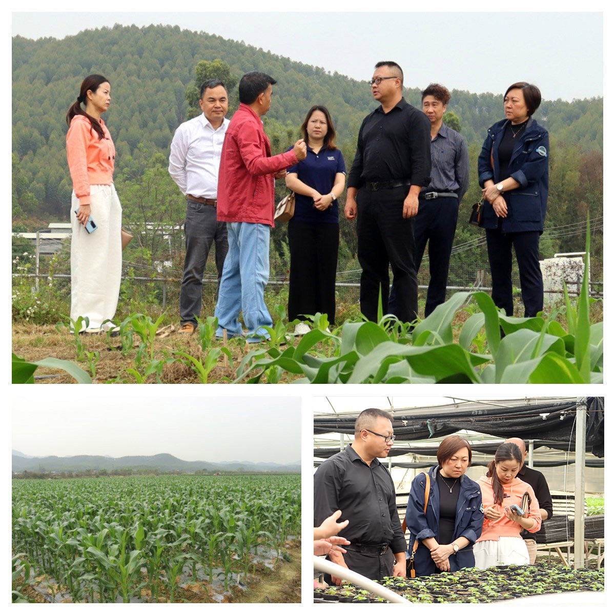 万利官网-相信品牌力量