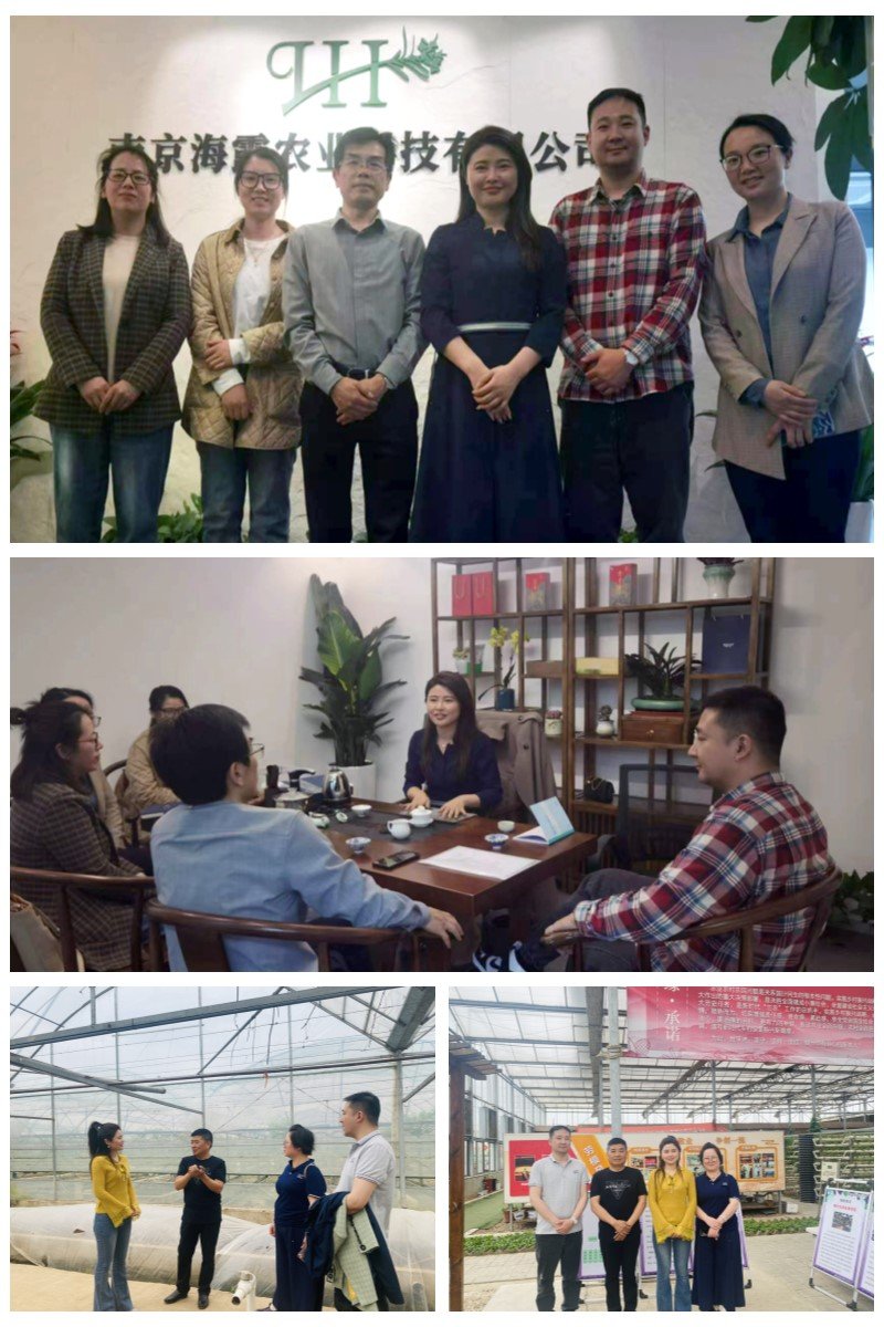 万利官网-相信品牌力量