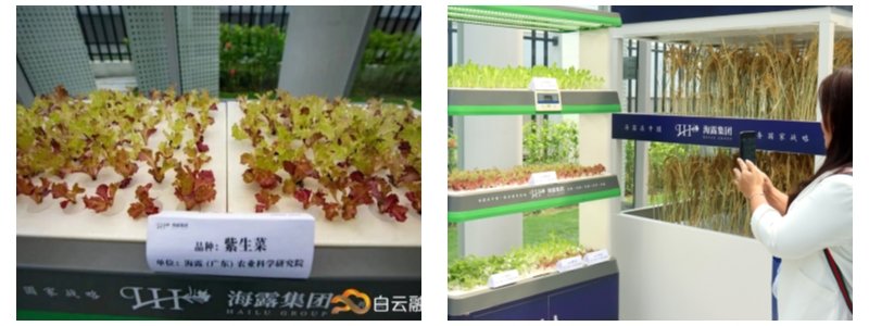 万利官网-相信品牌力量