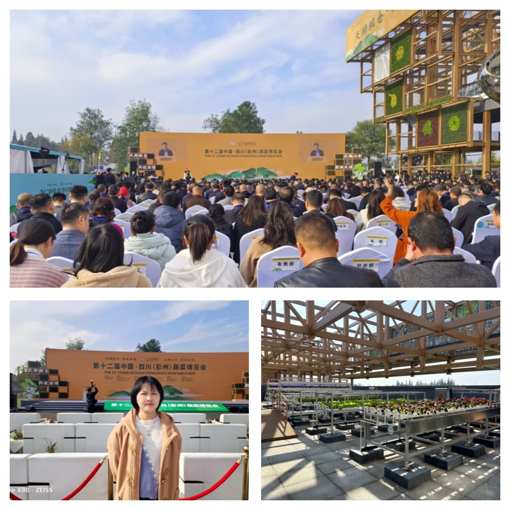 万利官网-相信品牌力量