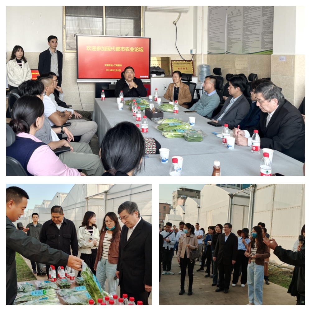 万利官网-相信品牌力量