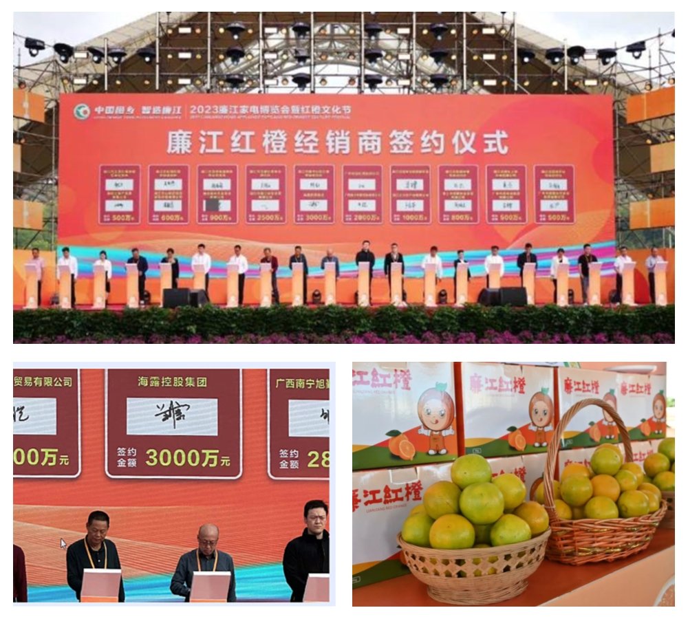 万利官网-相信品牌力量