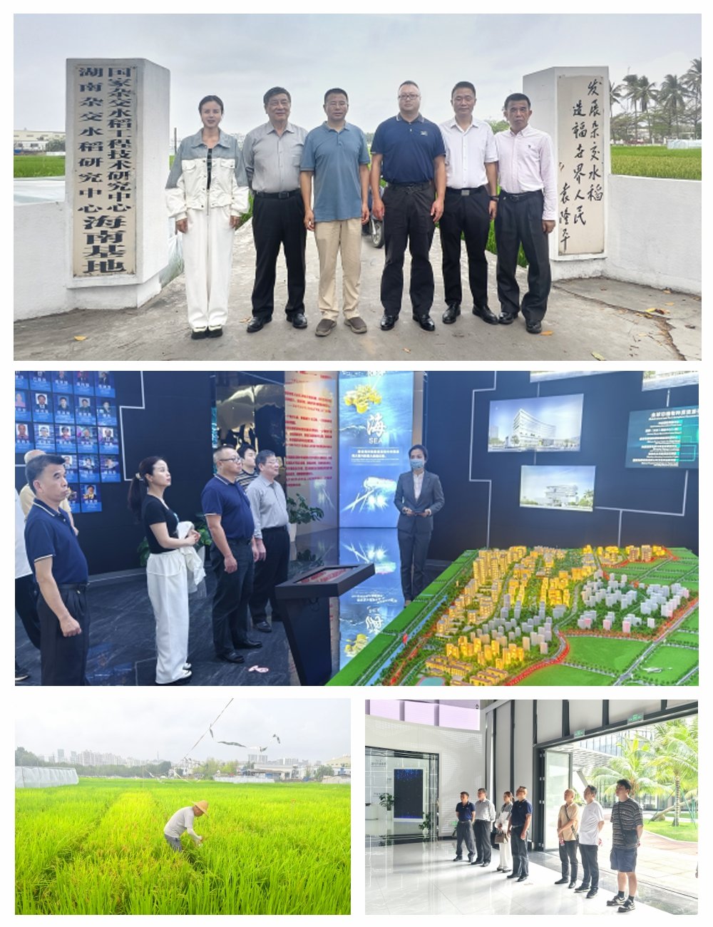 万利官网-相信品牌力量