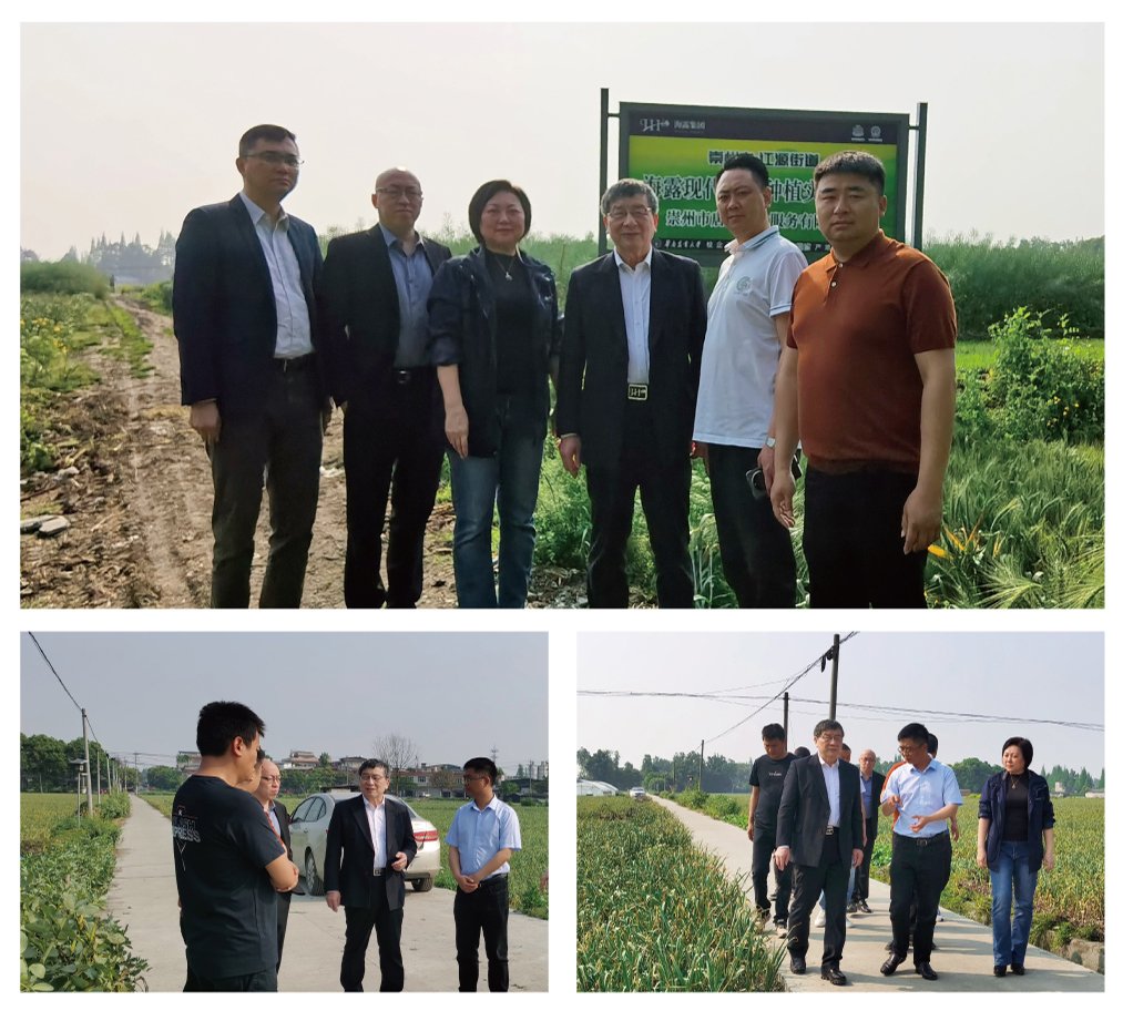 万利官网-相信品牌力量