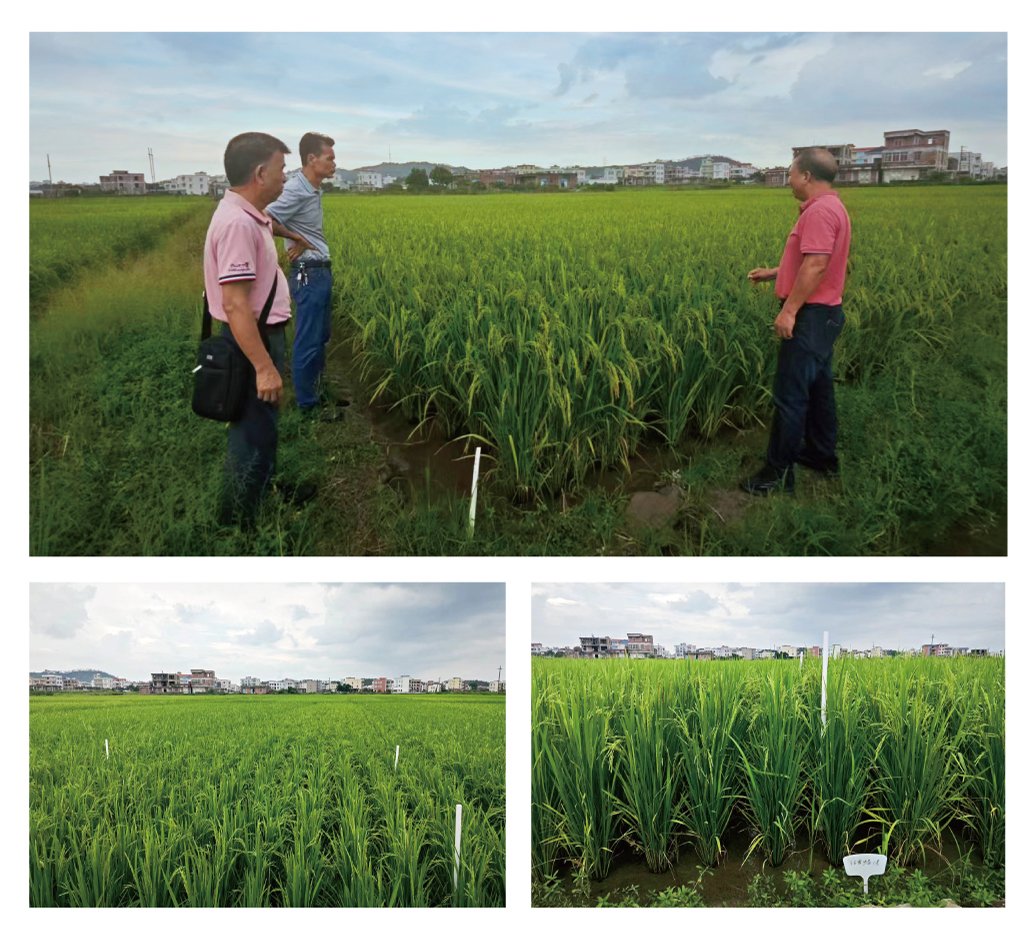 万利官网-相信品牌力量