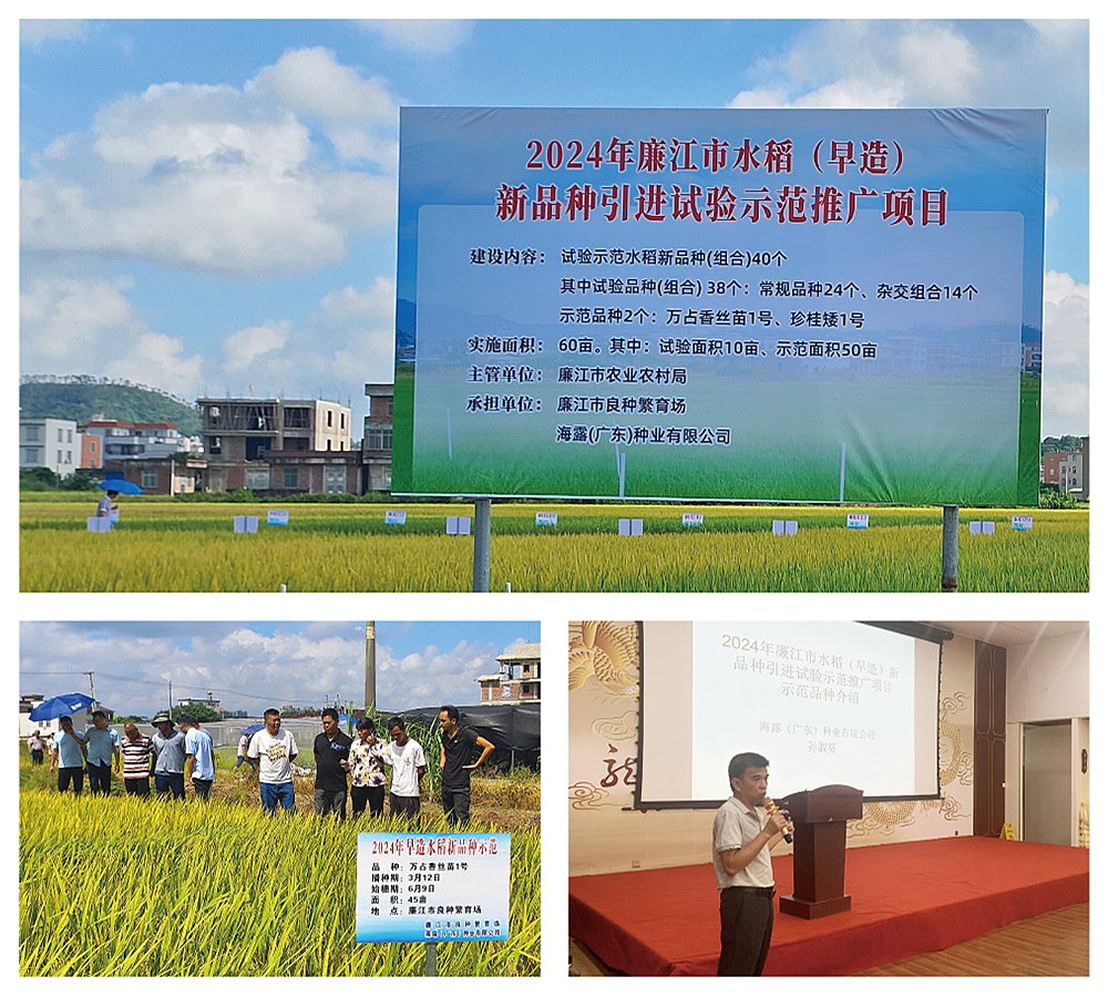 万利官网-相信品牌力量