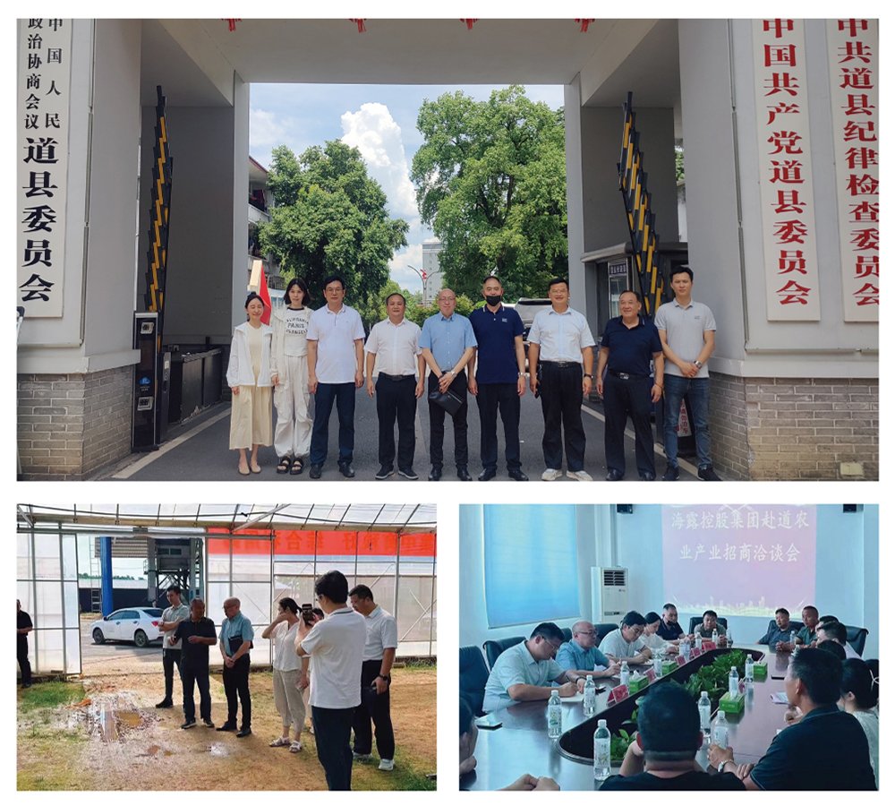 万利官网-相信品牌力量