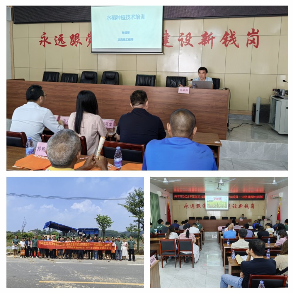 万利官网-相信品牌力量