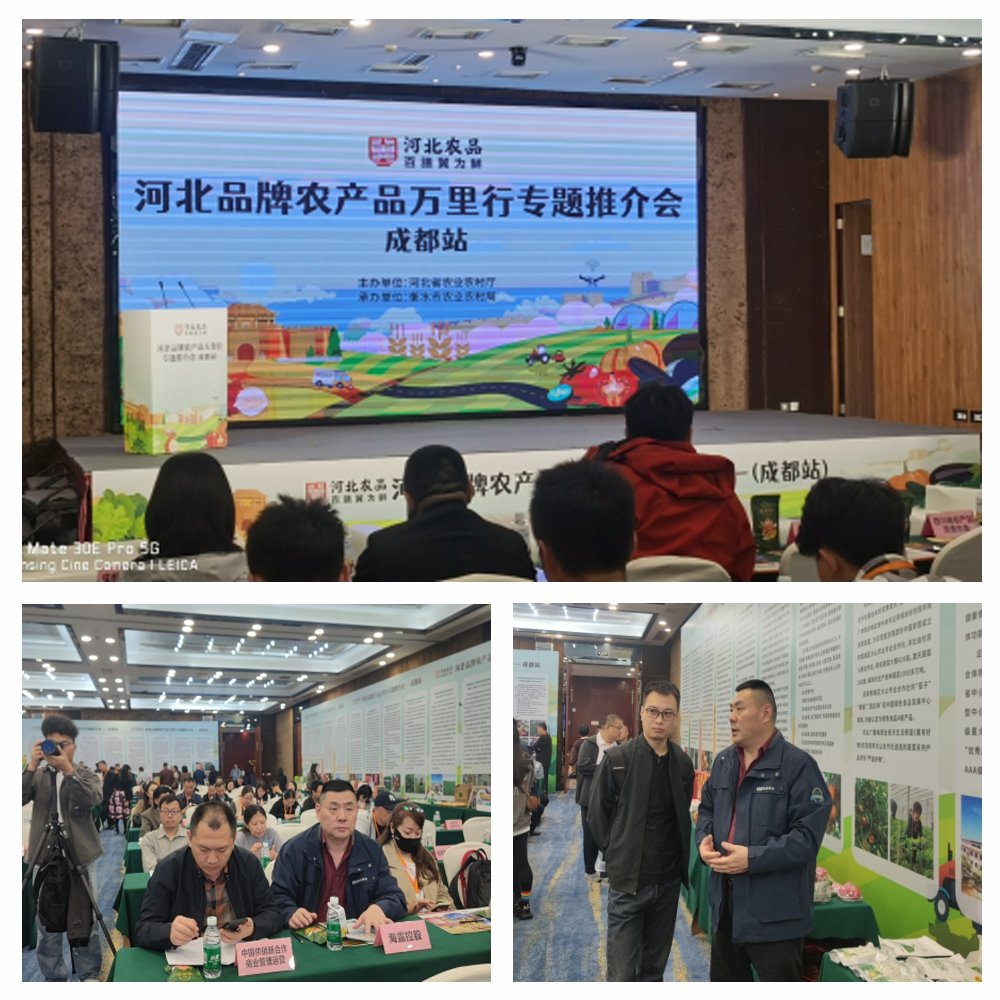 万利官网-相信品牌力量