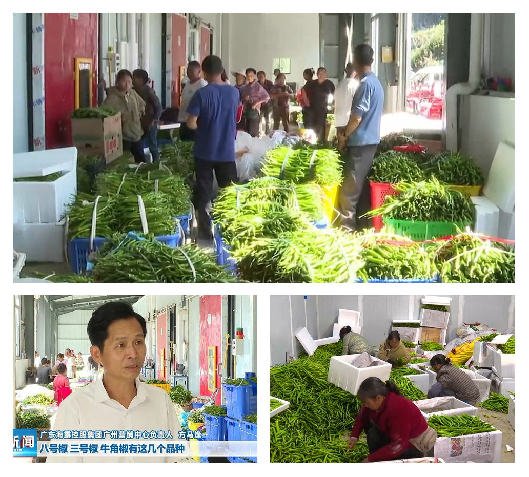 万利官网-相信品牌力量