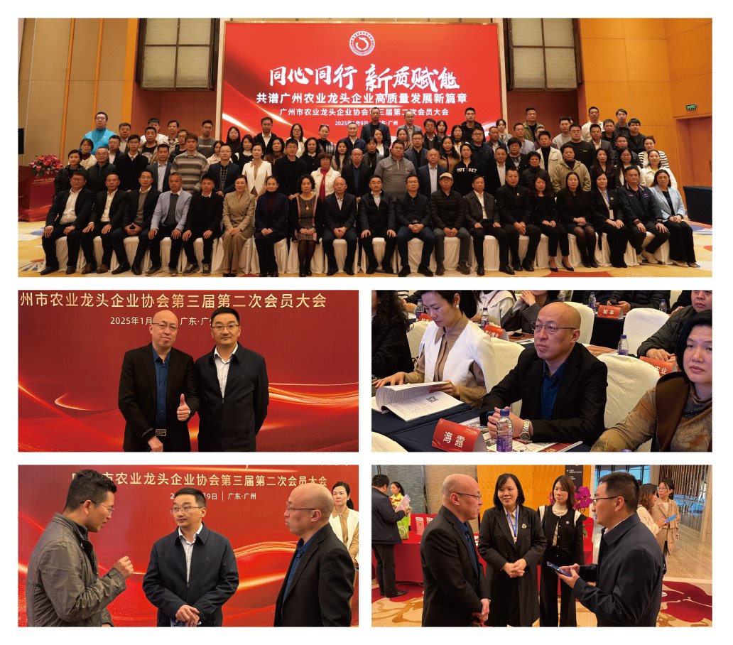 万利官网-相信品牌力量