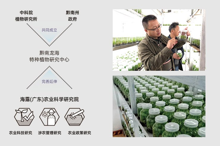 万利官网-相信品牌力量