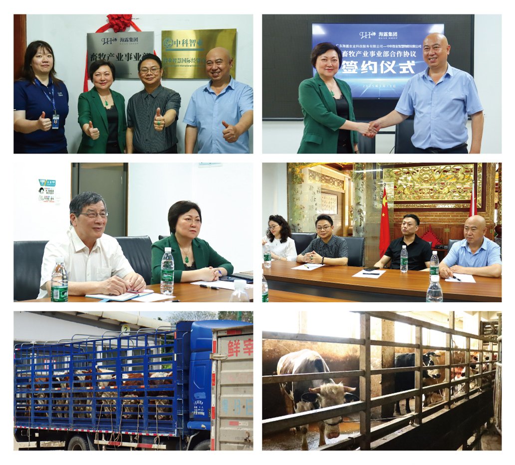 万利官网-相信品牌力量