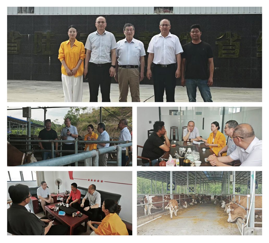 万利官网-相信品牌力量