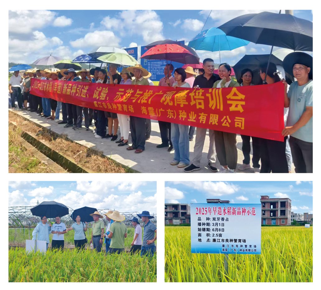 万利官网-相信品牌力量