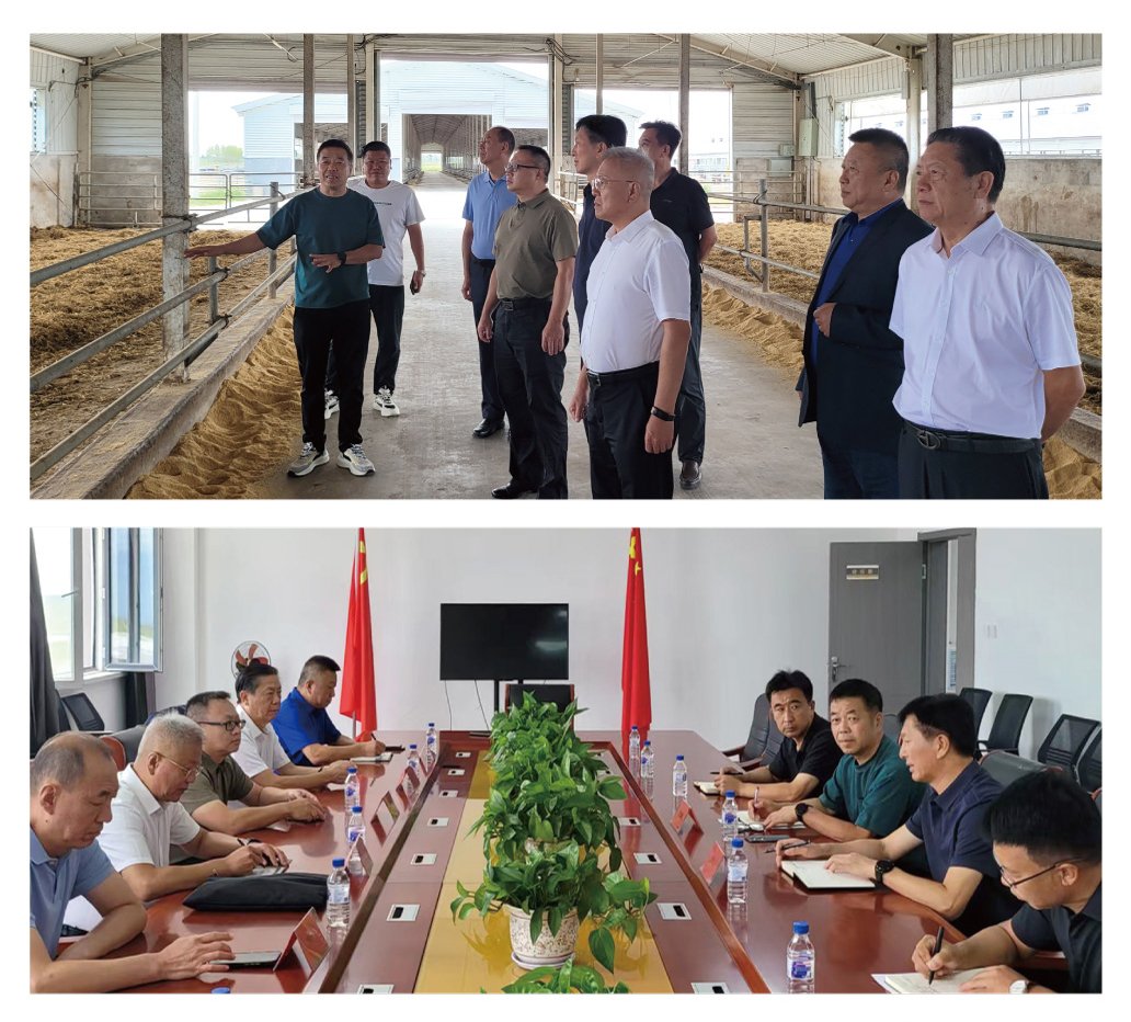 万利官网-相信品牌力量