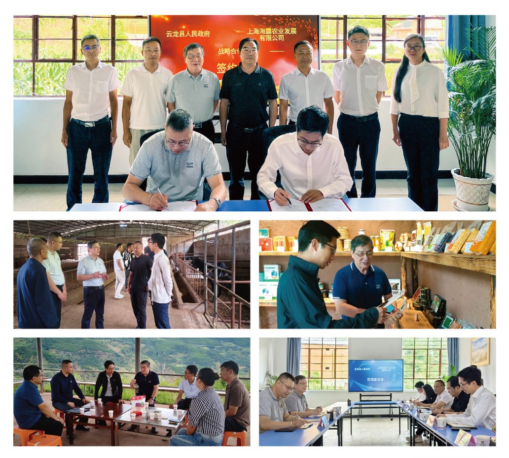 万利官网-相信品牌力量