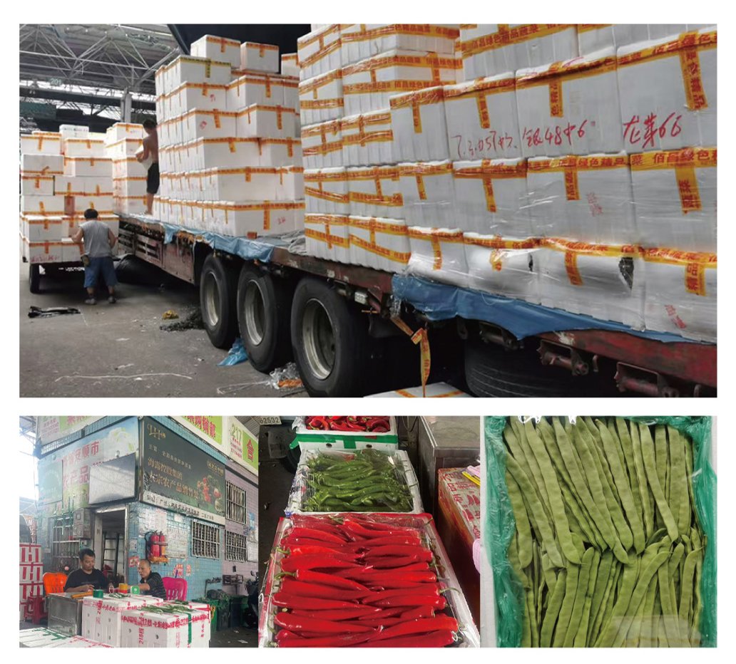 万利官网-相信品牌力量