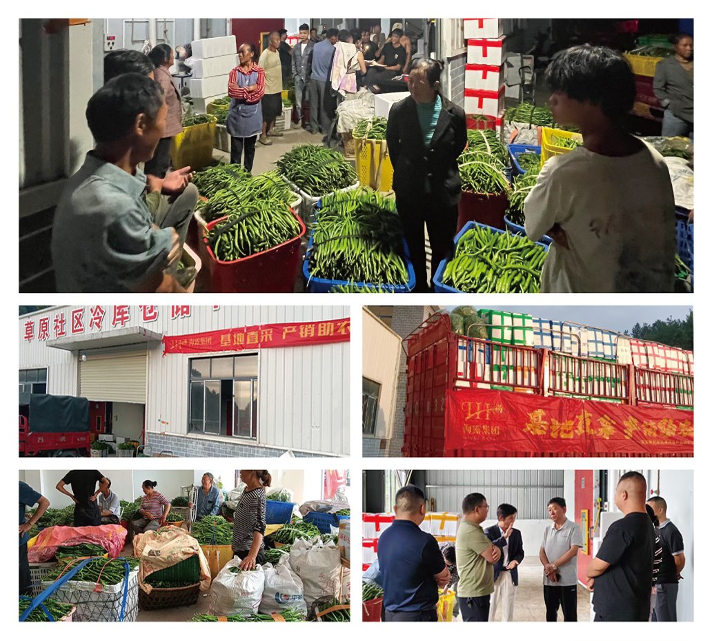 万利官网-相信品牌力量