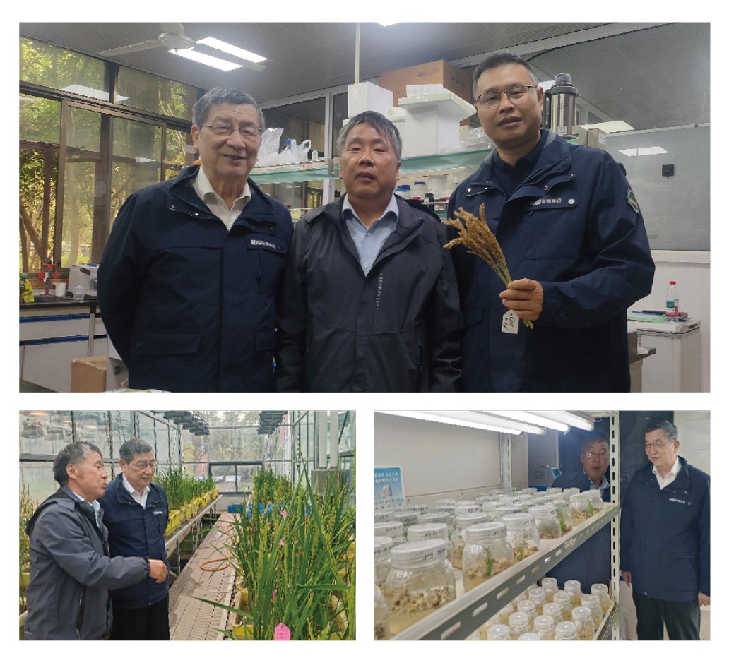 万利官网-相信品牌力量