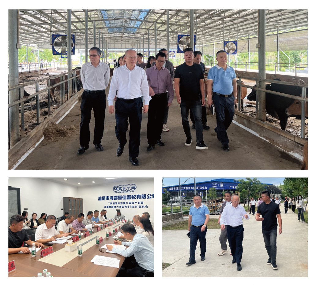 万利官网-相信品牌力量